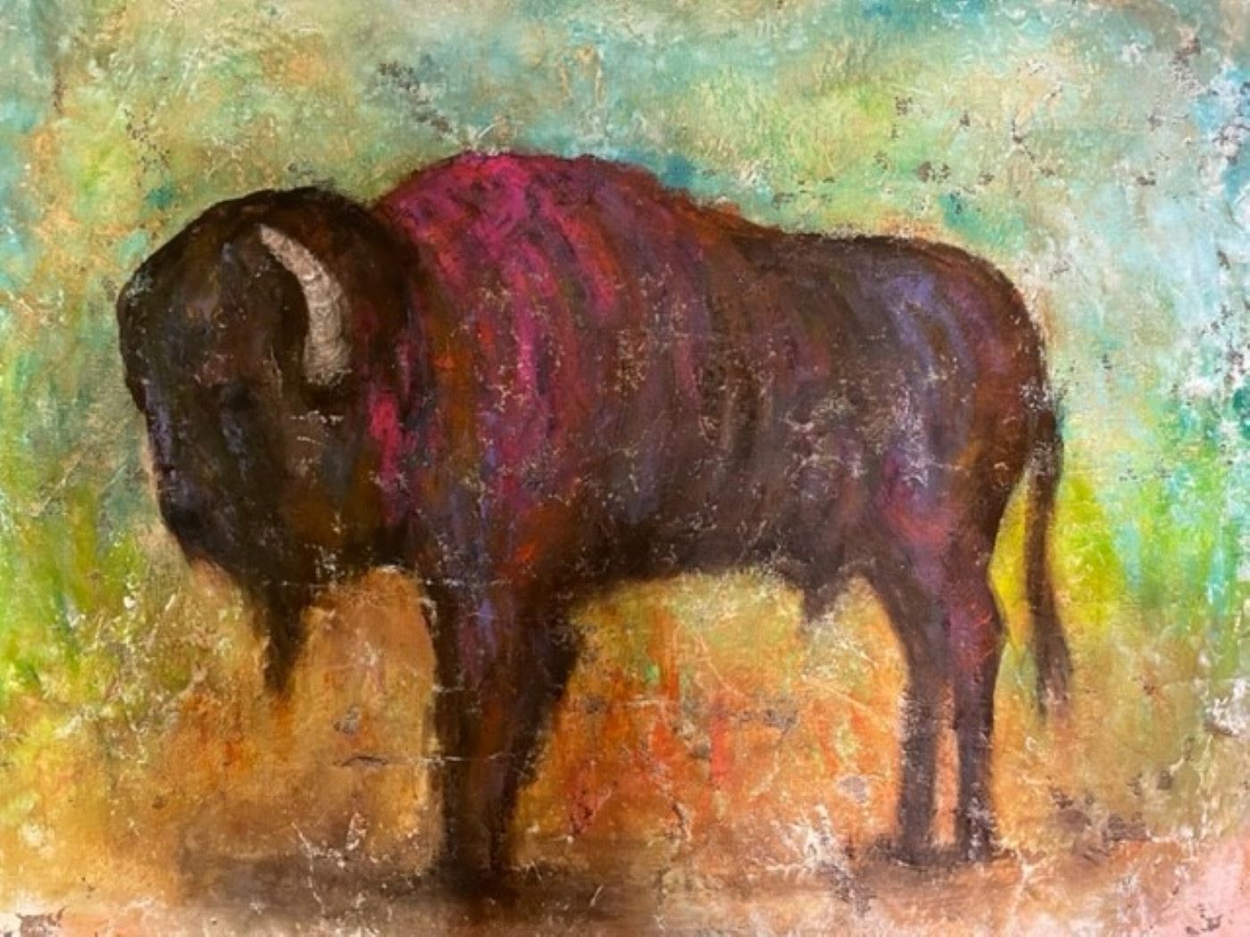 Buffalo Colour